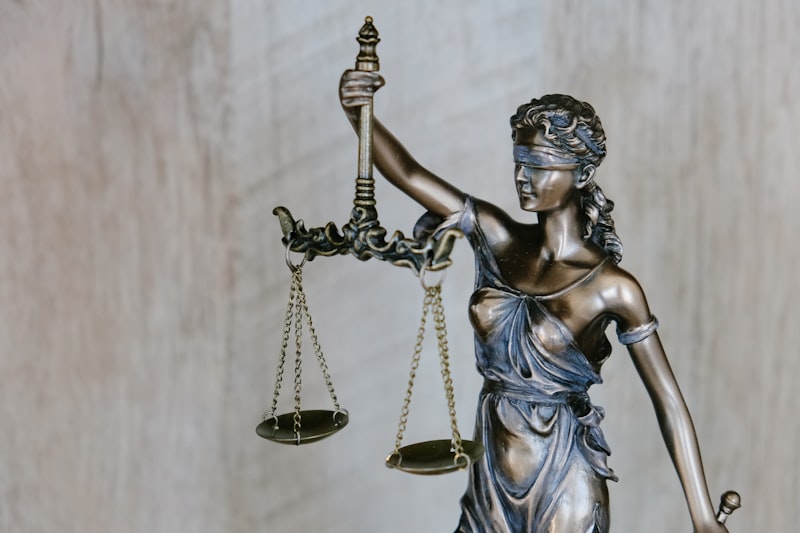 Immigration law